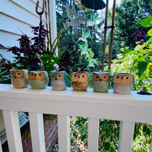 3 Brand New Mini Owl🦉Planters, Great for Mini Live or Faux Succulents or Whatev - Picture 8 of 16